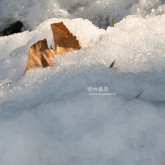 Not that excited â€¢  ä¸å¤§çš„é›ª